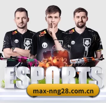 max-nng28.com.cn APP