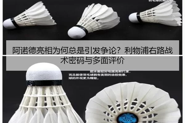 a-nuo-de-liang-xiang-wei-he-zong-shi-yin-fa-zheng-lun-li-wu-pu-you-lu-zhan-shu-mi-ma-yu-duo-mian-ping-jia-2-392.jpg